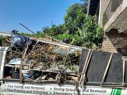 Best Basement Cleanout  in Dunlap, IA